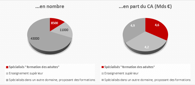 Les organismes de formation par fonction