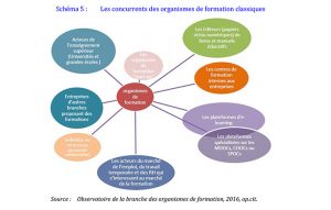 Schéma de la concurrence des organismes de formation - rapport Igas
