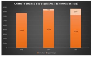 Jaune budgétaire 2022 - CA des organismes de formation