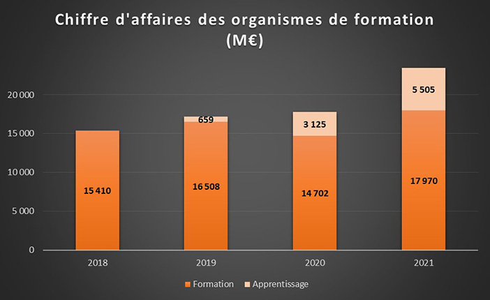 1 - Jaune budgétaire 2023 CA des organismes de formation