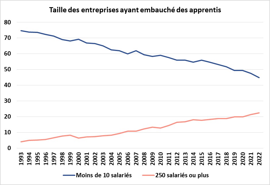 Apprentis et taille de l'entreprise 1993-2023