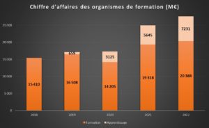 Jaune budgétaire 2024 - chiffre d'affaires des organismes de formation