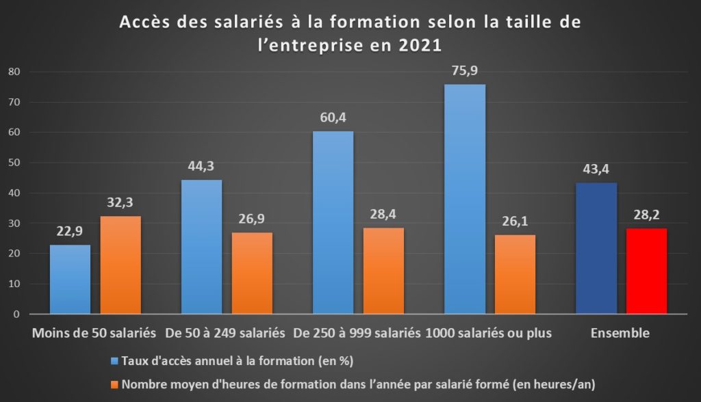 Jaune budgétaire 2024 - accès à la formation par taille d'entreprises